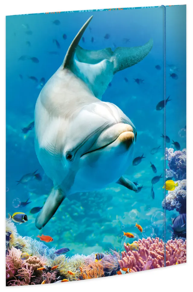 rnk-dolphin-zeichenmappe-a3-karton-mit-gummizug image 1