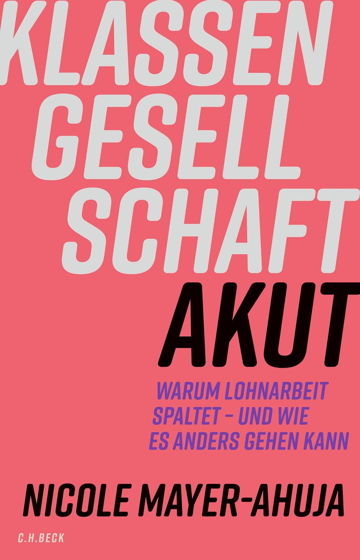 beck-paperback-klassengesellschaft-akut-buch-lohnarbeit-gesellschaft image 1