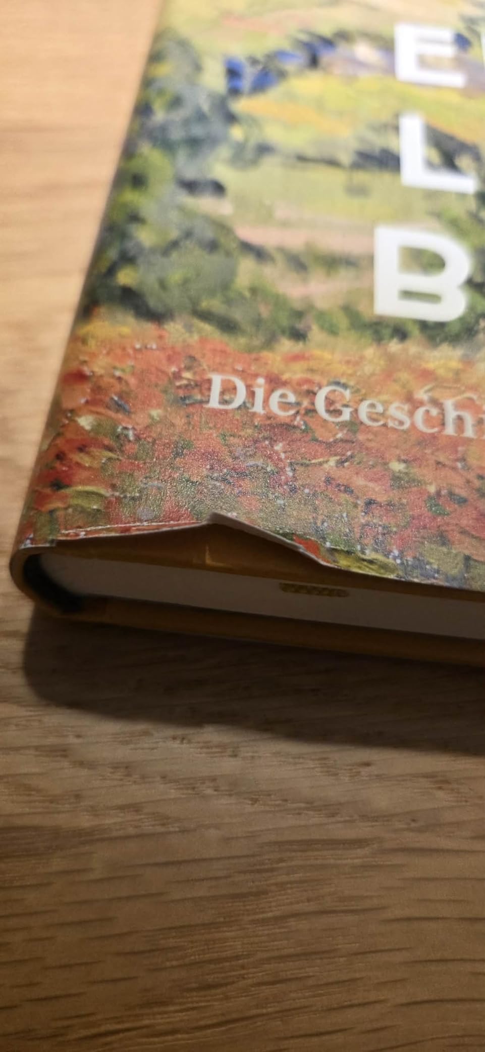 Schönes E-Book