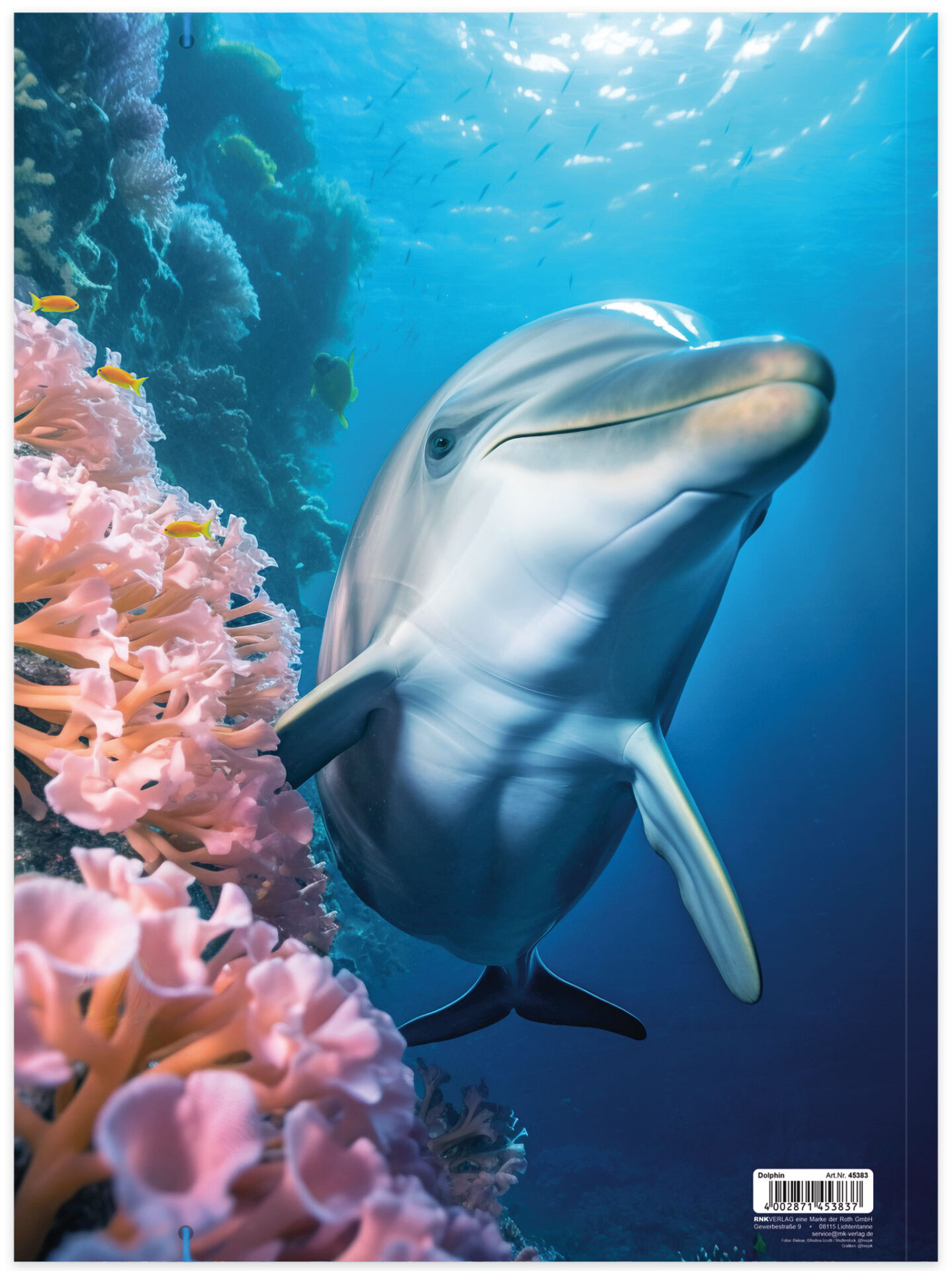 rnk-dolphin-zeichenmappe-a3-karton-mit-gummizug image 4