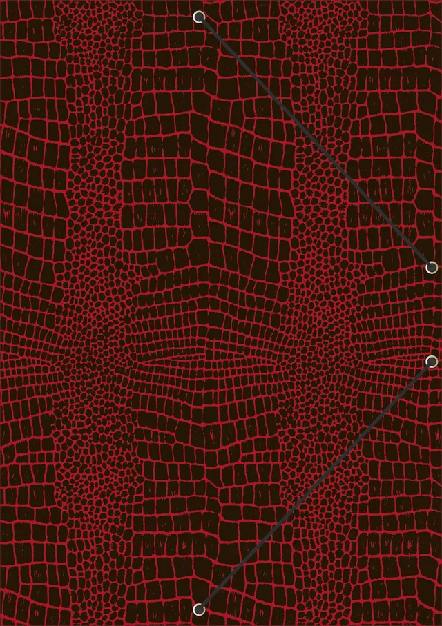 rnk-grace-sunrise-red-konferenzmappe-din-a4-9-f-cher image 1