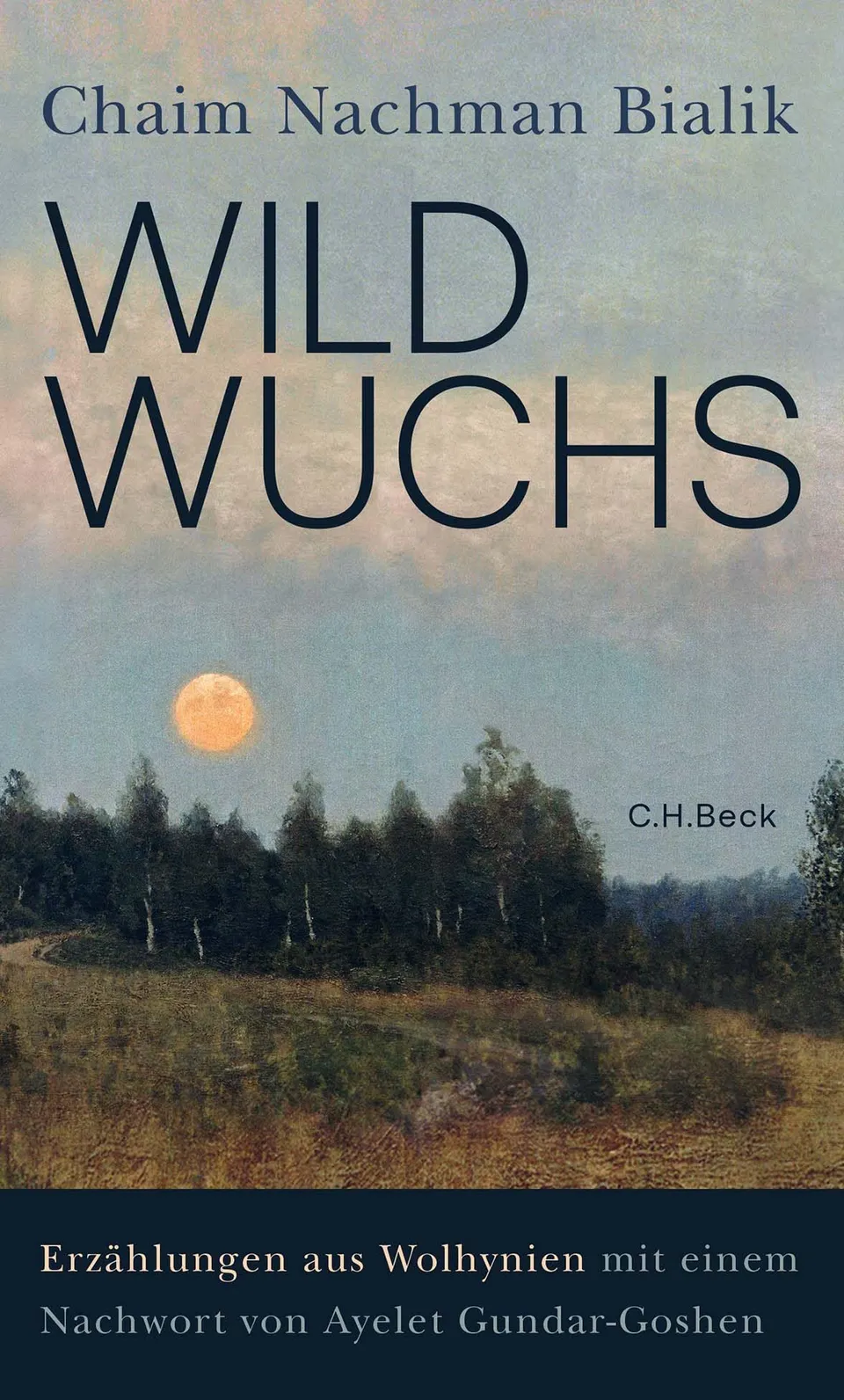 c-h-beck-paperback-wildwuchs-erz-hlungen-wolhynien-buch image 1