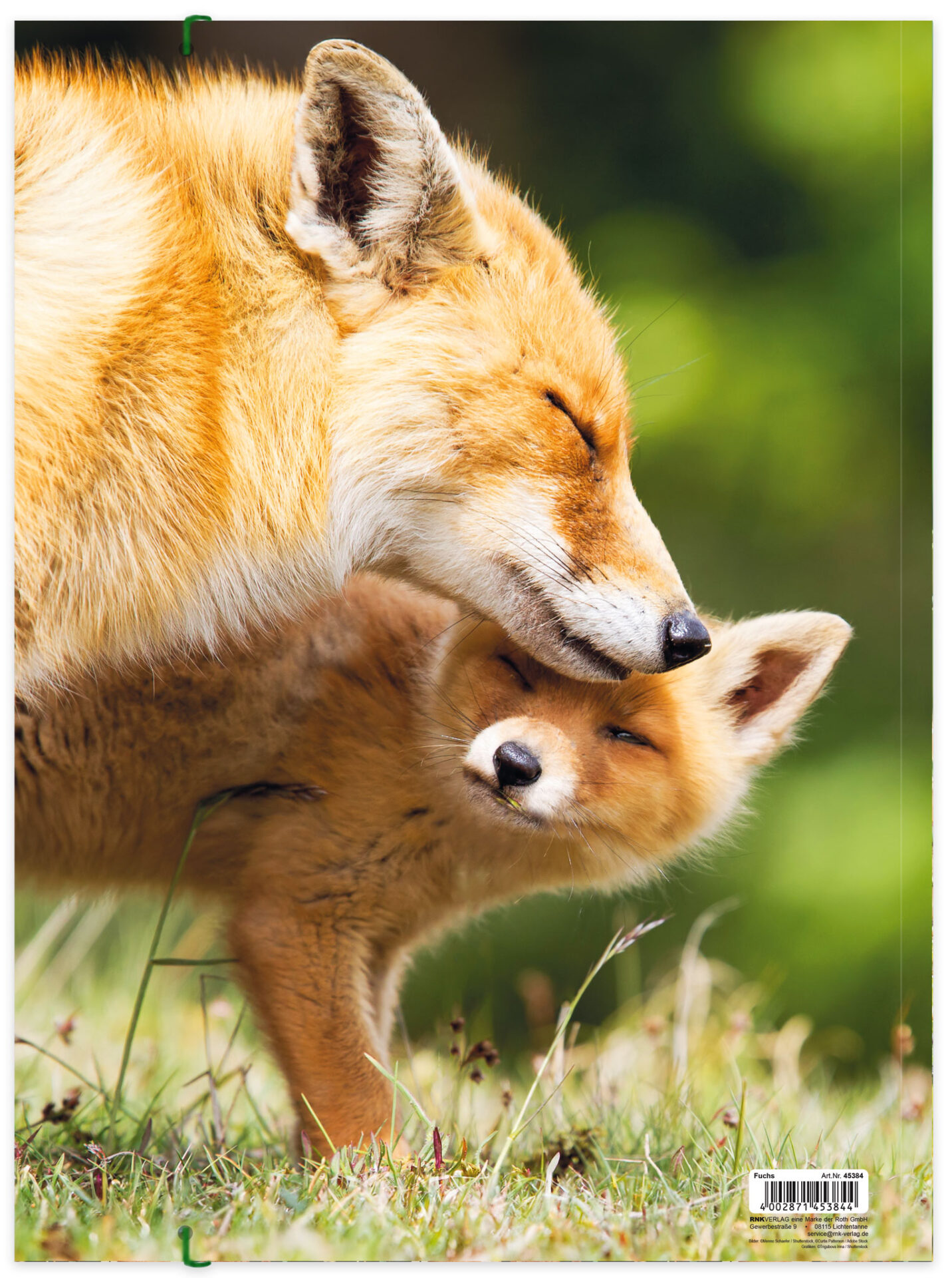 rnk-fuchs-zeichenmappe-a3-karton-mit-gummizug image 4