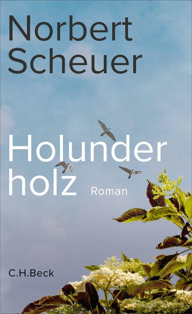 c-h-beck-paperback-holunderholz-roman-taschenbuch image 1