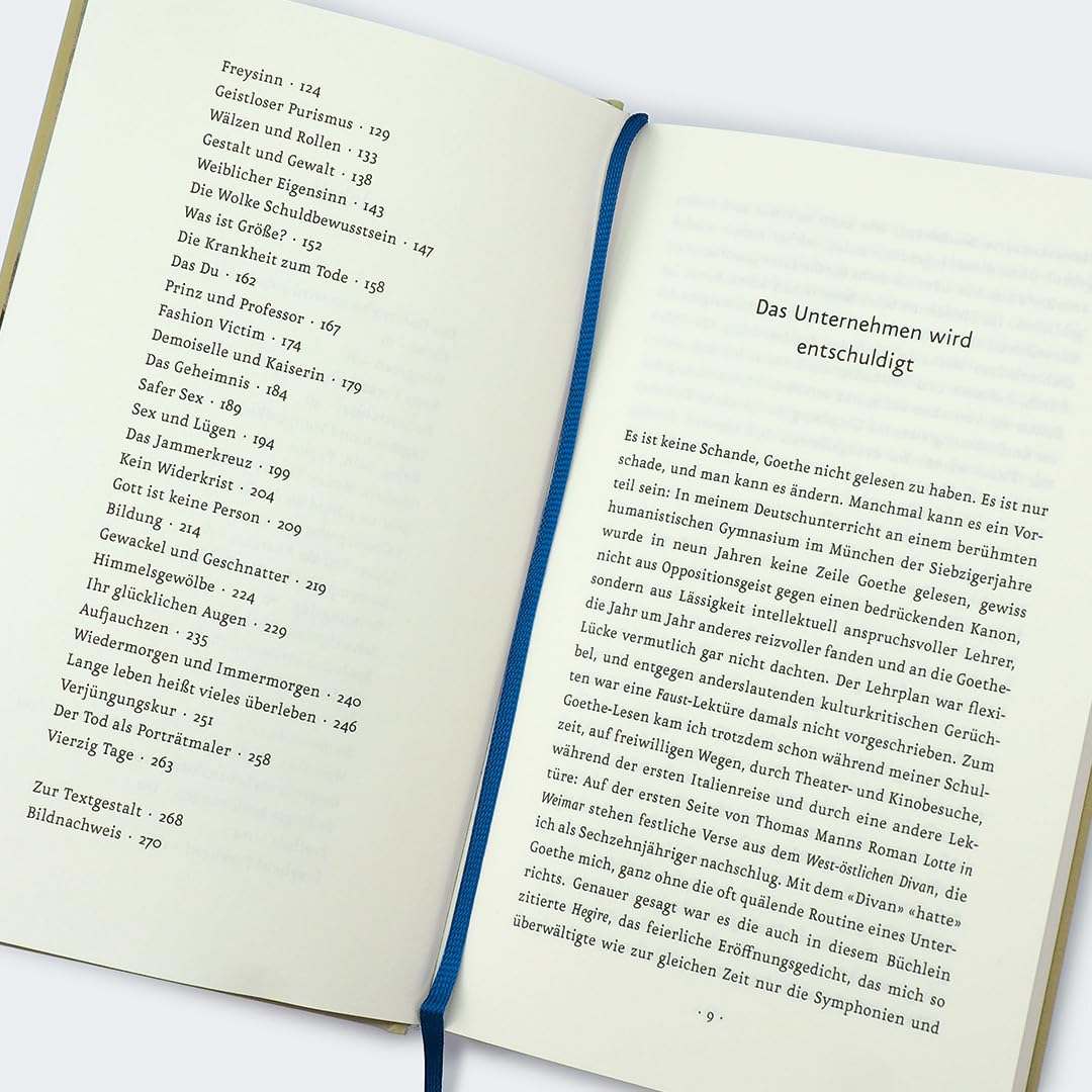 c-h-beck-paperback-ein-sommer-mit-goethe-taschenbuch-literatur image 5