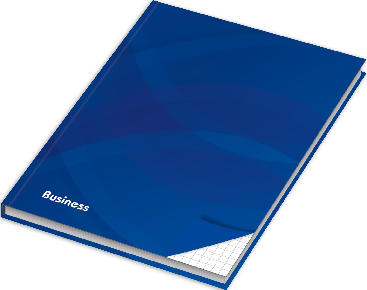 rnk-business-blau-notizbuch-din-a4-kariert image 4