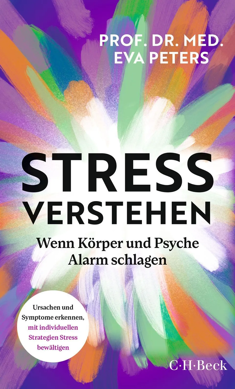 c-h-beck-stress-verstehen-taschenbuch-ursachen-symptome-strategien image 1