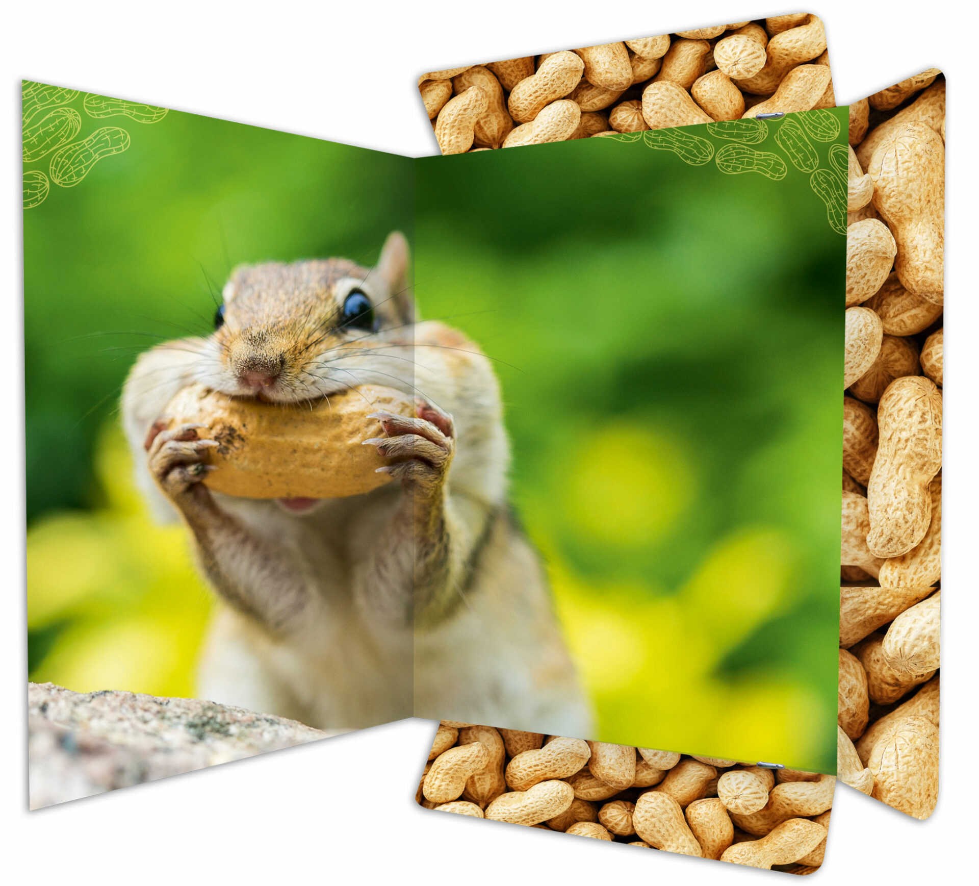 rnk-chipmunk-zeichenmappe-din-a3-gummizug-1-st-ck image 2