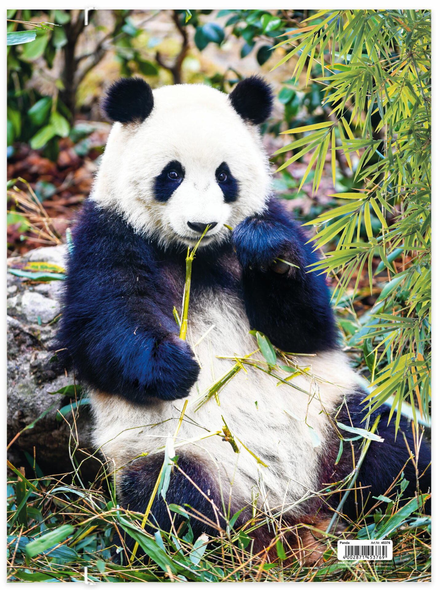 rnk-panda-zeichenmappe-din-a3-gummizug-1-st-ck image 4