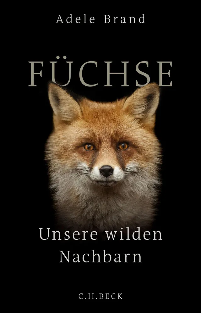 c-h-beck-paperback-f-chse-buch-wilde-nachbarn image 1