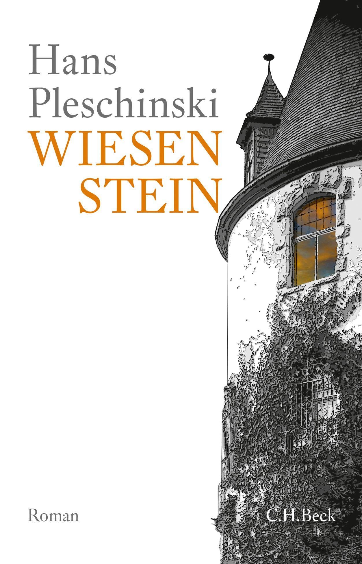c-h-beck-paperback-wiesenstein-roman-taschenbuch-gegenwart image 1