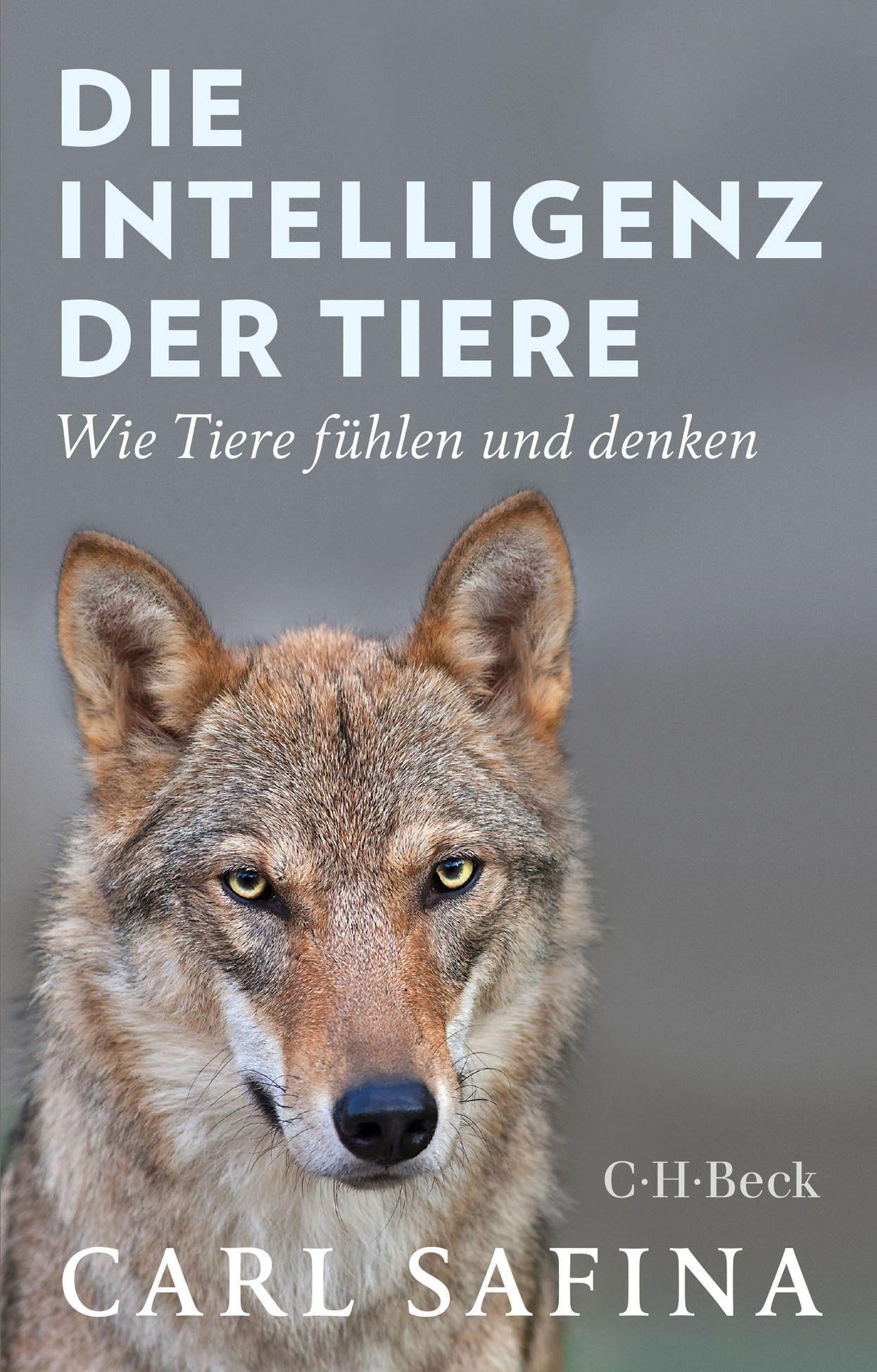 c-h-beck-die-intelligenz-der-tiere-taschenbuch-tierverhalten image 1