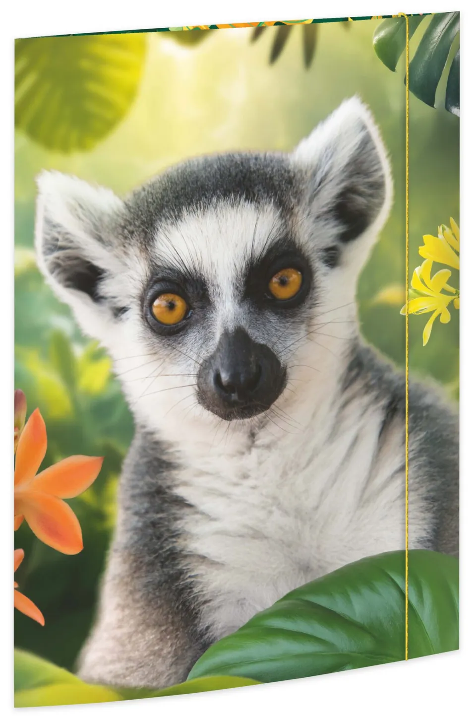 rnk-lemur-zeichenmappe-din-a3-karton-mit-gummizug image 1