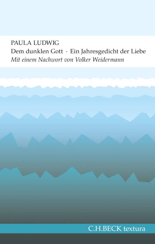 c-h-beck-textura-dem-dunklen-gott-buch-jahresgedicht image 1