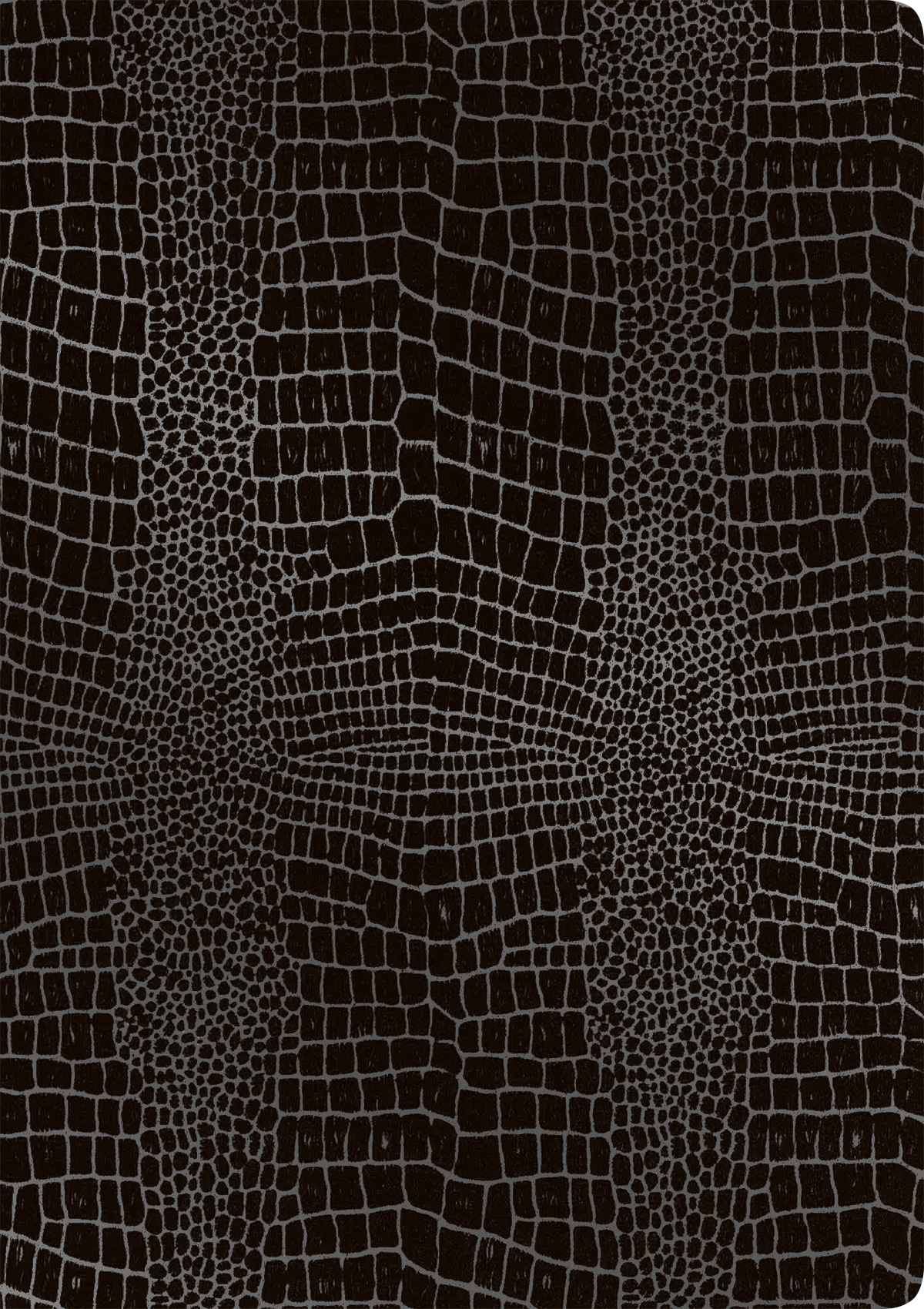rnk-carbon-black-urkundenmappe-din-a4-2-taschen image 1