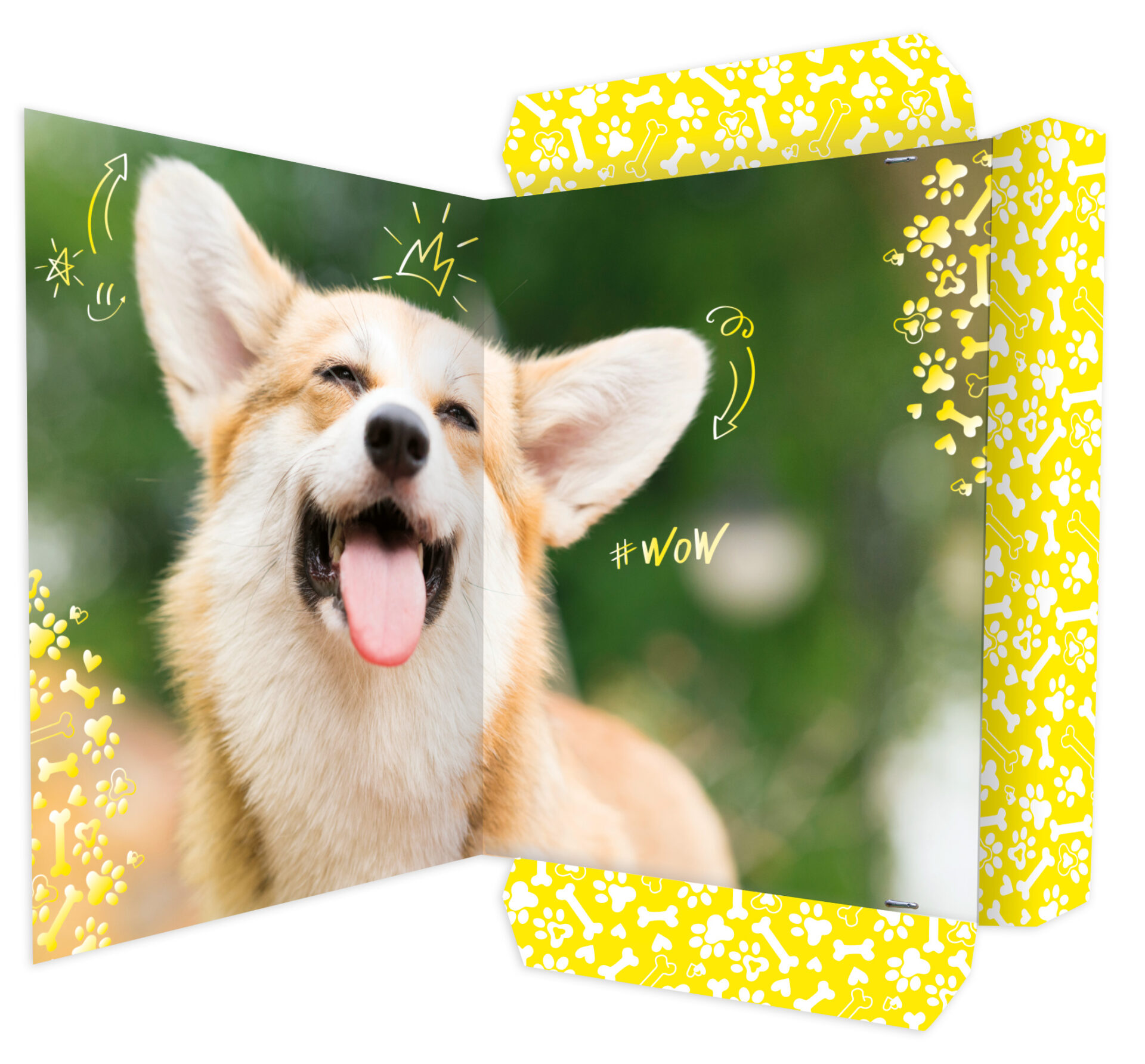 rnk-corgi-zeichenmappe-din-a3-mit-gummizug-stabiler-karton image 2