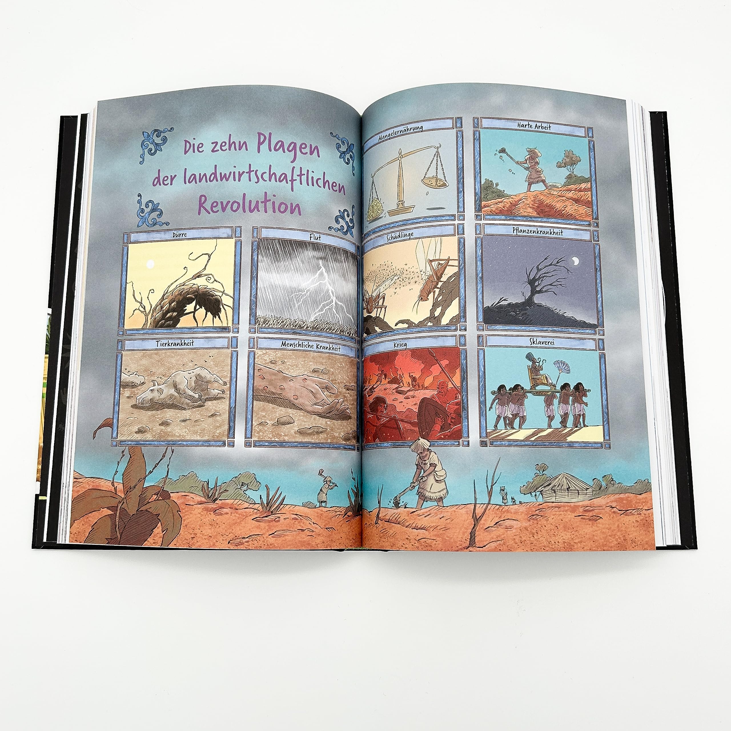 dtv-warum-die-welt-nicht-fair-ist-buch-ab-10-menschheit image 4
