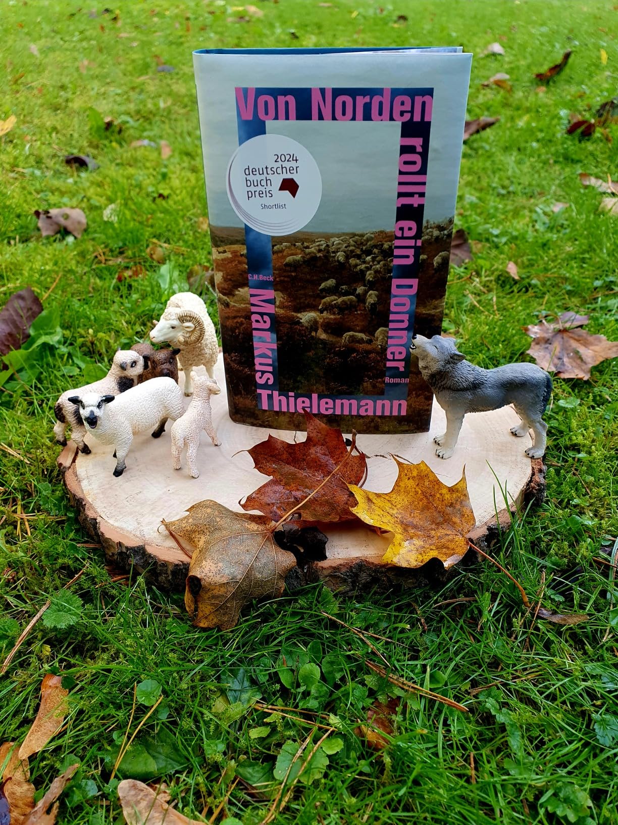 Fesselnder Anfang