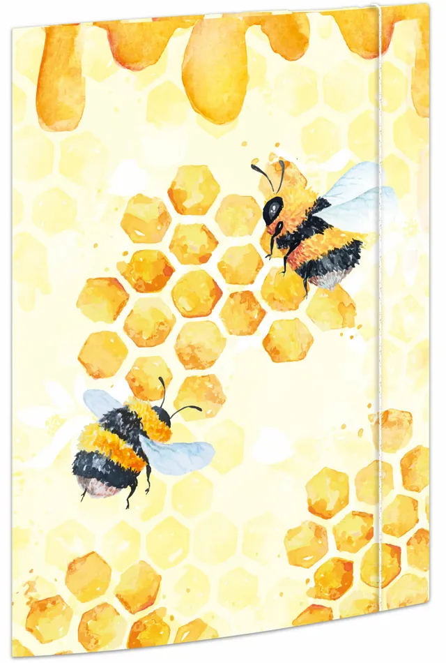 rnk-honey-sammelmappe-a4-karton-gummizug-1-st-ck image 1