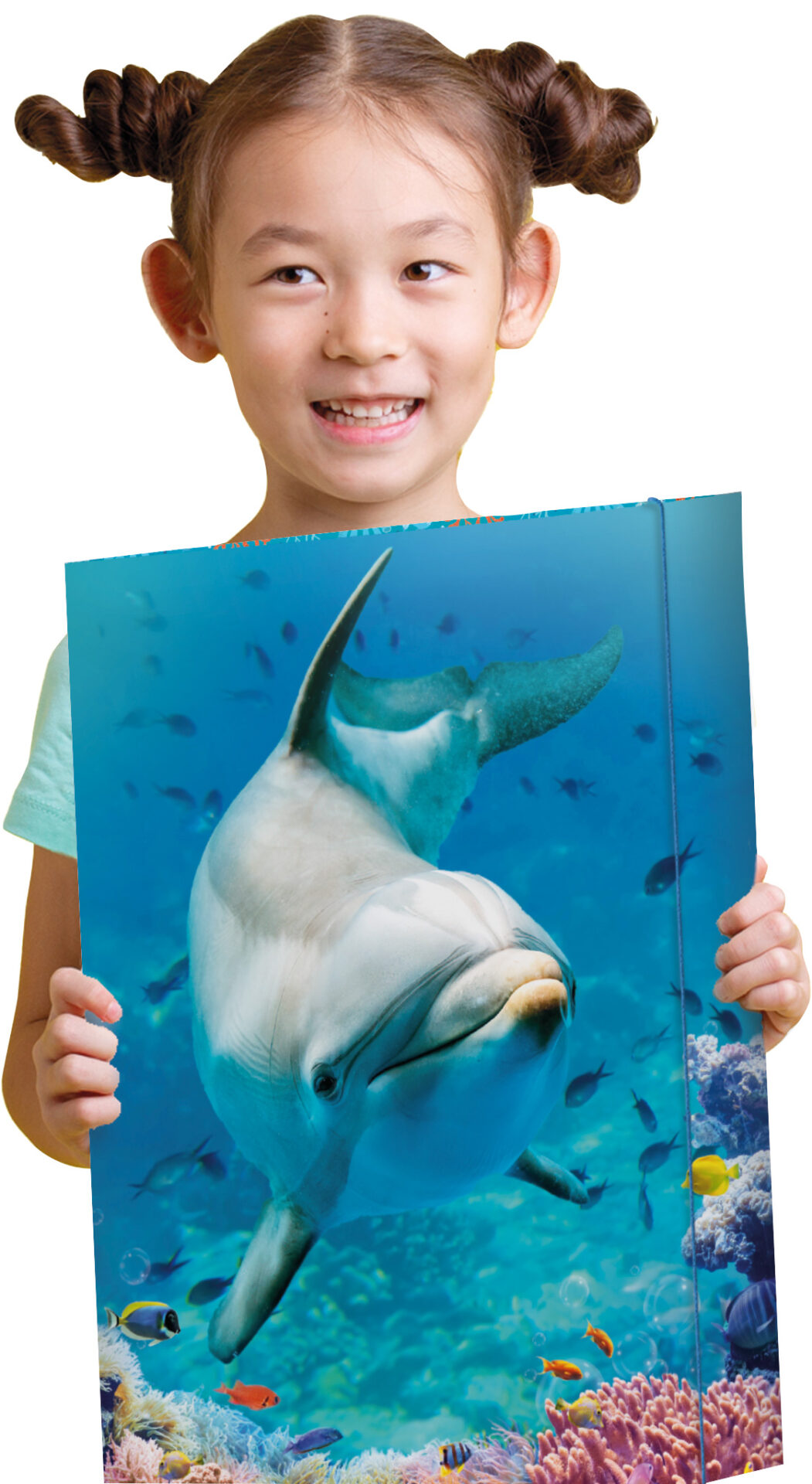 rnk-dolphin-zeichenmappe-a3-karton-mit-gummizug image 5