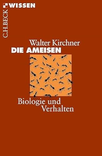 c-h-beck-wissen-die-ameisen-buch-biologie image 2