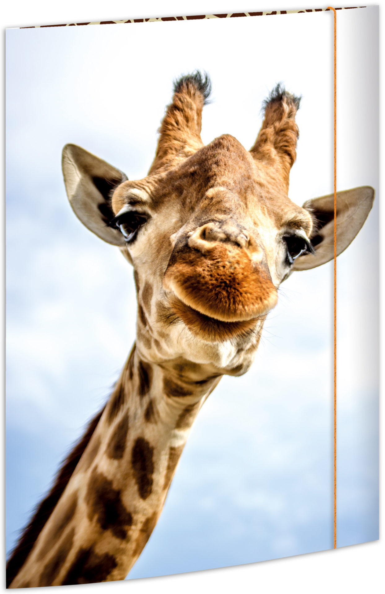rnk-safari-zeichenmappe-din-a3-blau-gummizug-1-st-ck image 1