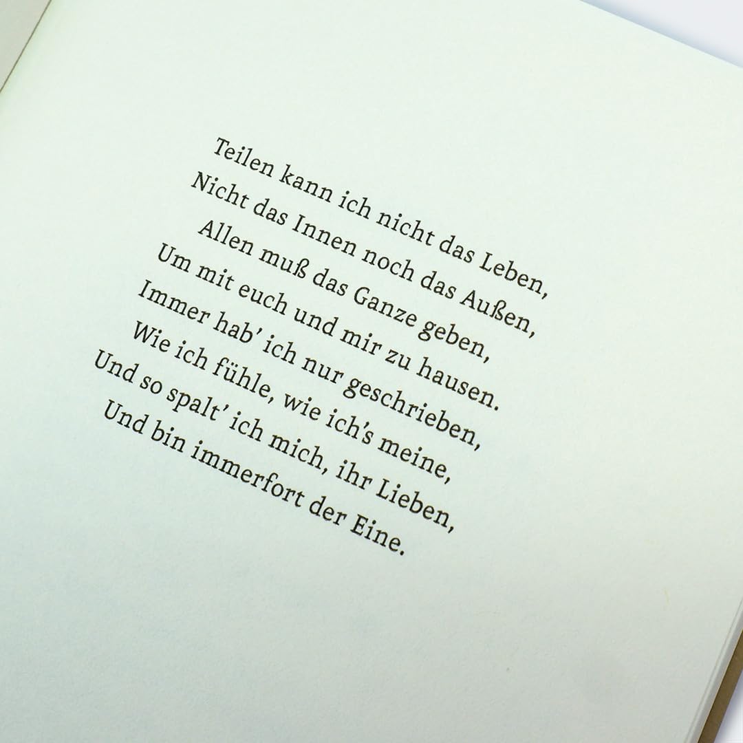 c-h-beck-paperback-ein-sommer-mit-goethe-taschenbuch-literatur image 4