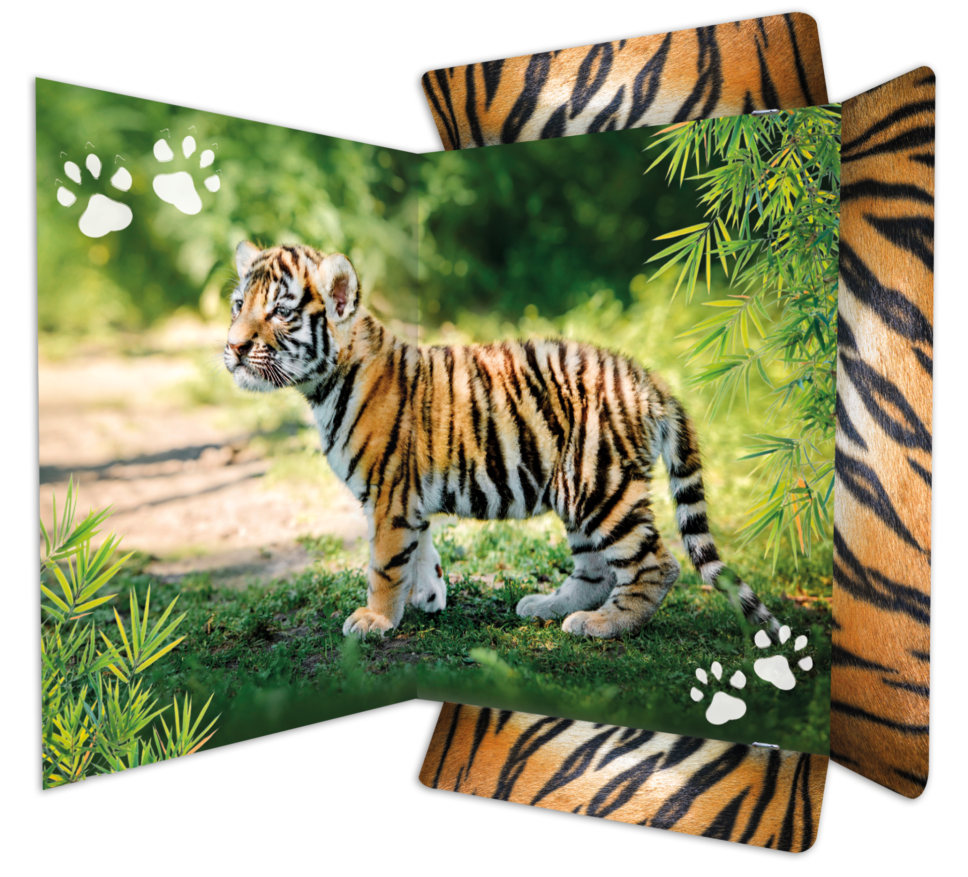 rnk-zeichenmappe-tiger-din-a3-karton-gummizug image 2