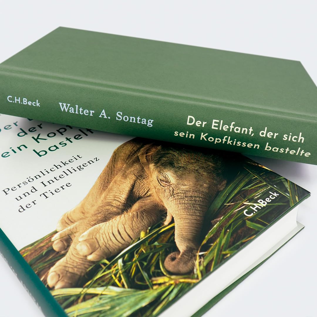 c-h-beck-paperback-elefant-kopfkissen-buch-tiere-intelligenz image 8