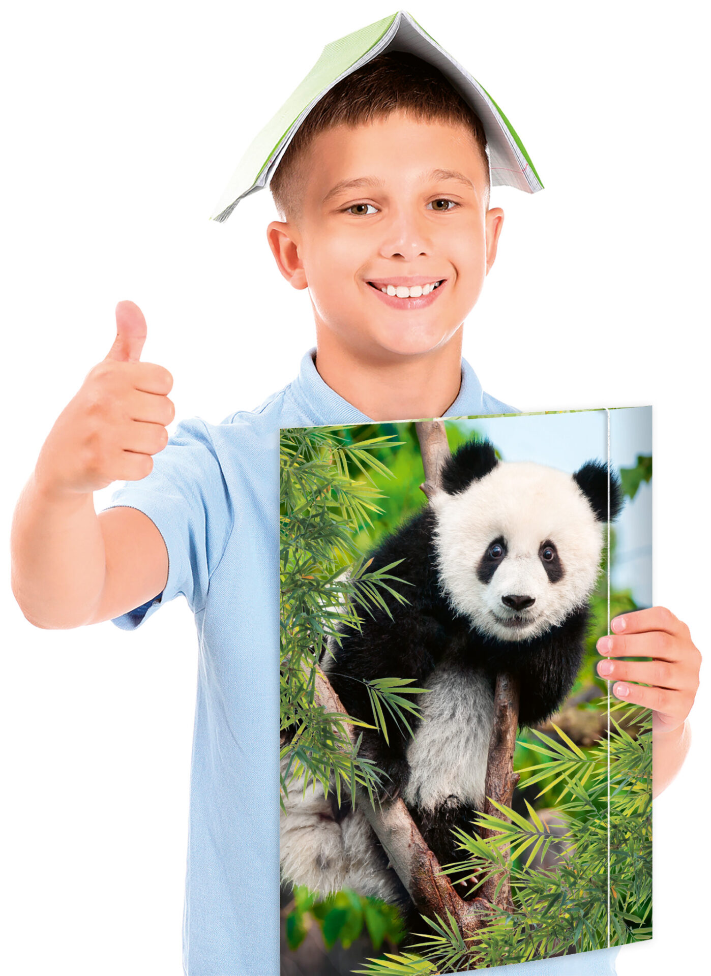 rnk-panda-zeichenmappe-din-a3-gummizug-1-st-ck image 3