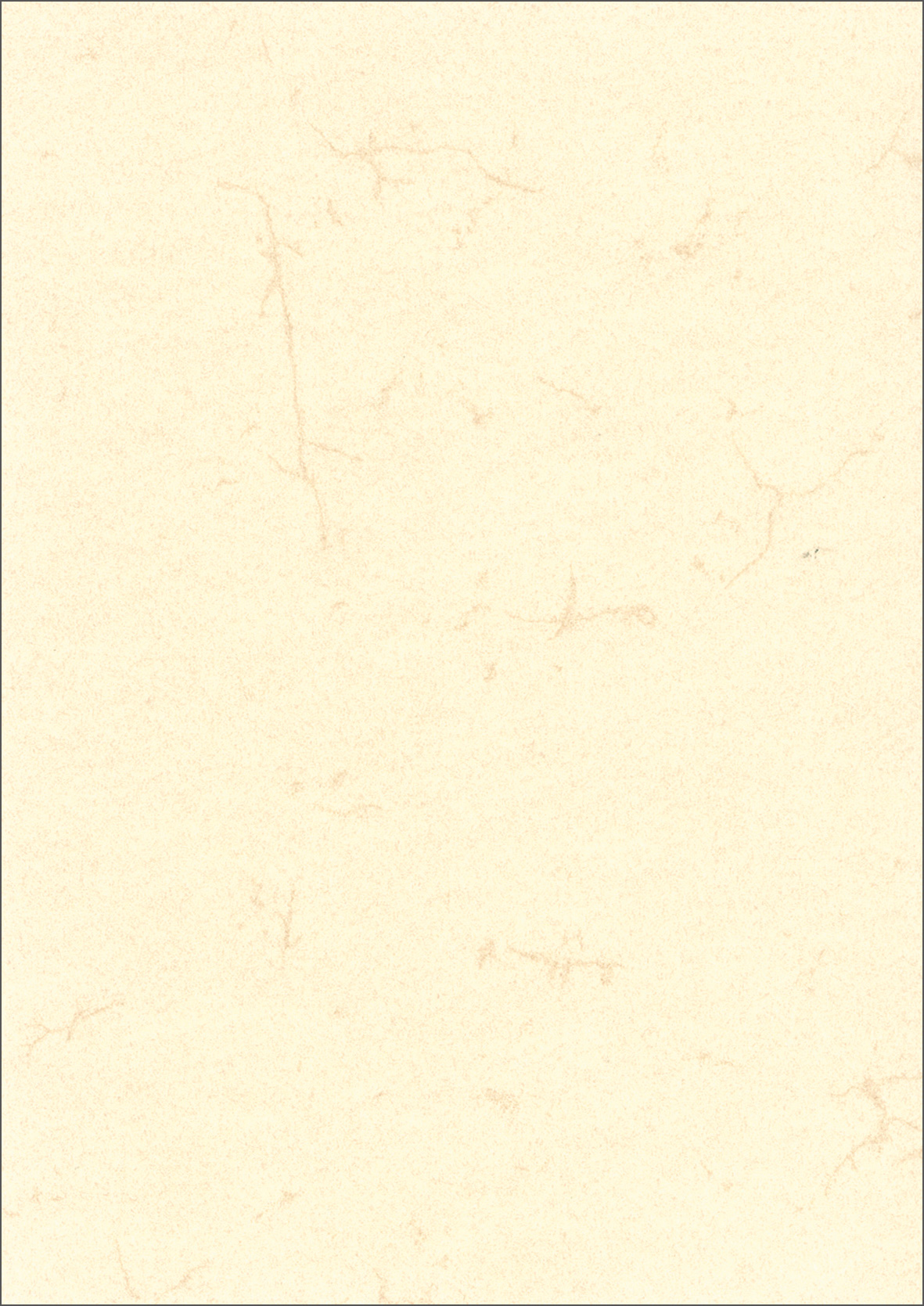 rnk-schul-schreibbedarf-dokumentenpapier-din-a3-elefantenhaut-10-st-ck image 1