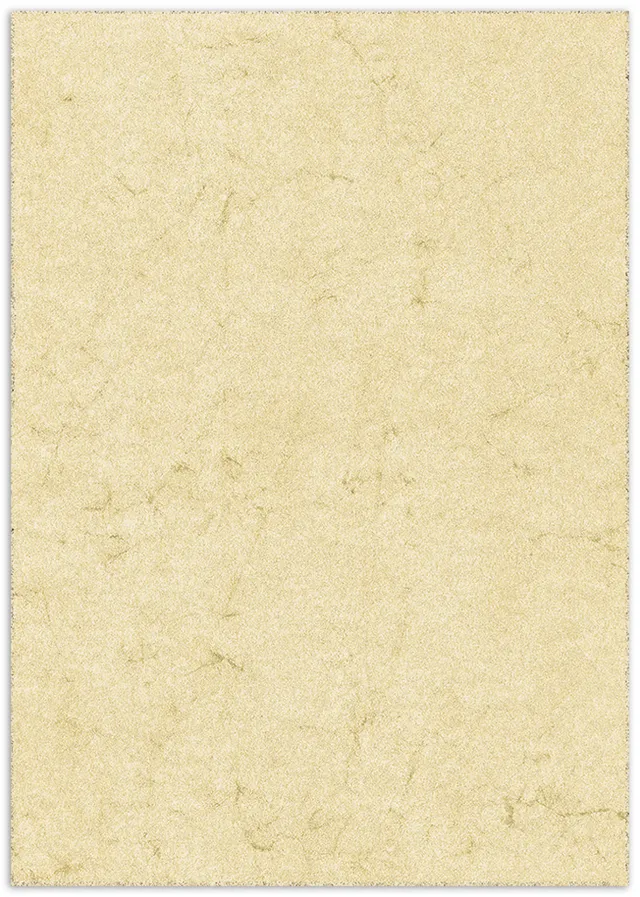rnk-dokumentenpapier-din-a4-chamois-elefantenhaut-100-st-ck image 1