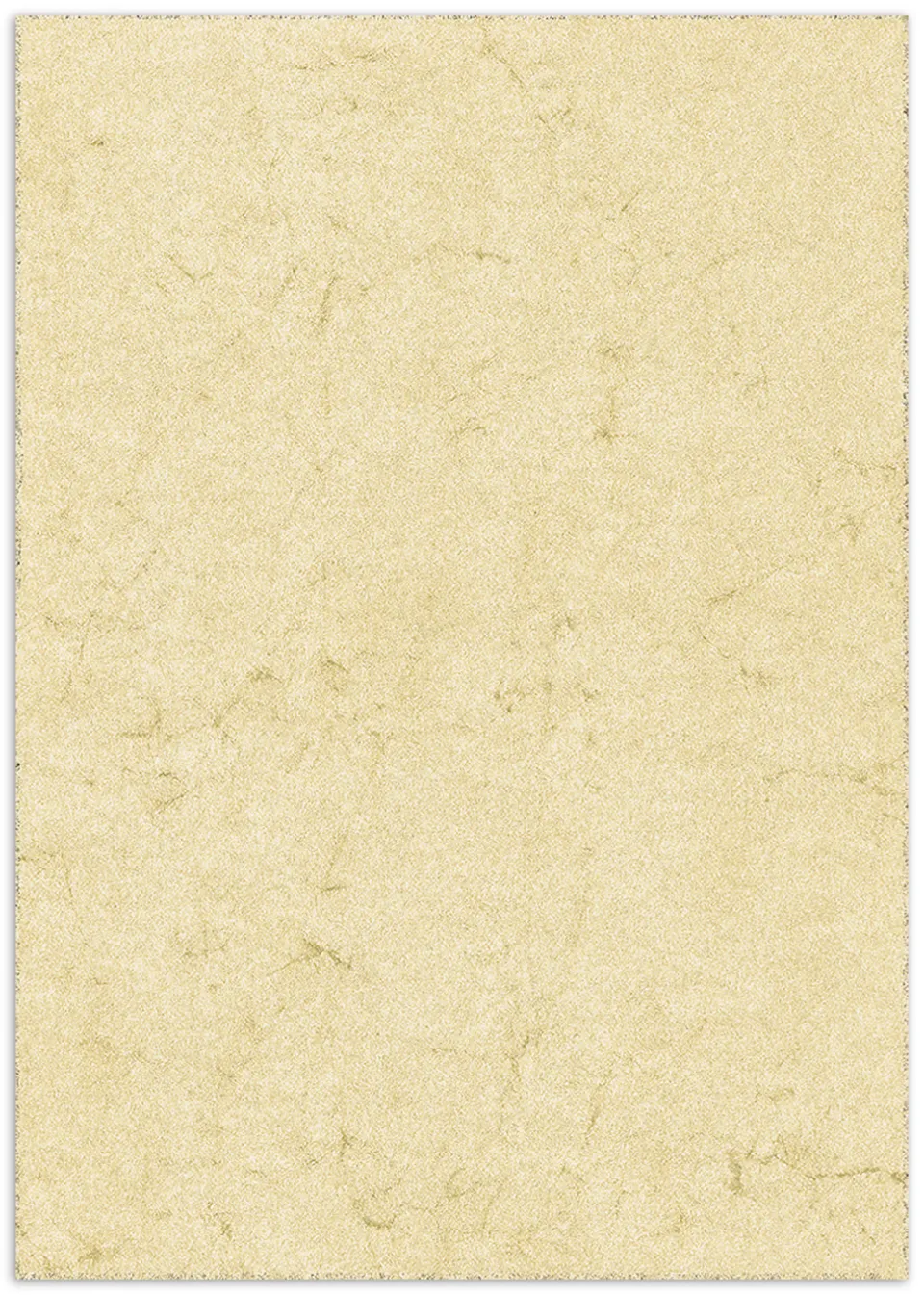 rnk-dokumentenpapier-din-a4-chamois-elefantenhaut-100-st-ck image 1