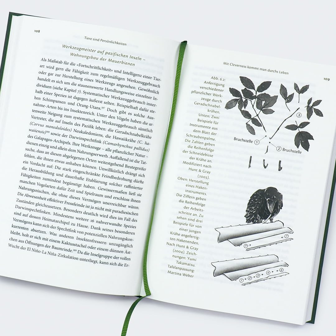c-h-beck-paperback-elefant-kopfkissen-buch-tiere-intelligenz image 5