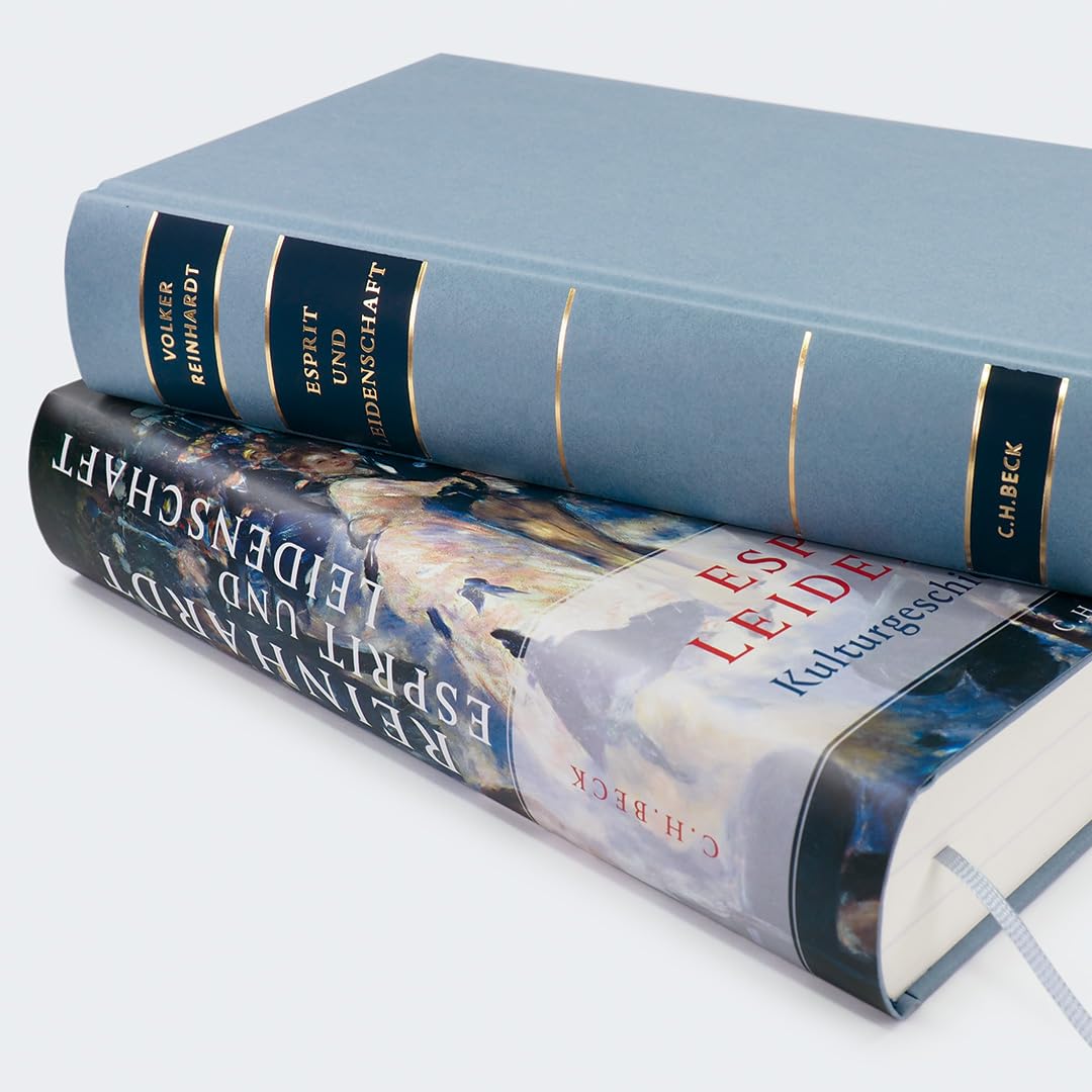 c-h-beck-esprit-und-leidenschaft-buch-kulturgeschichte-frankreichs image 3