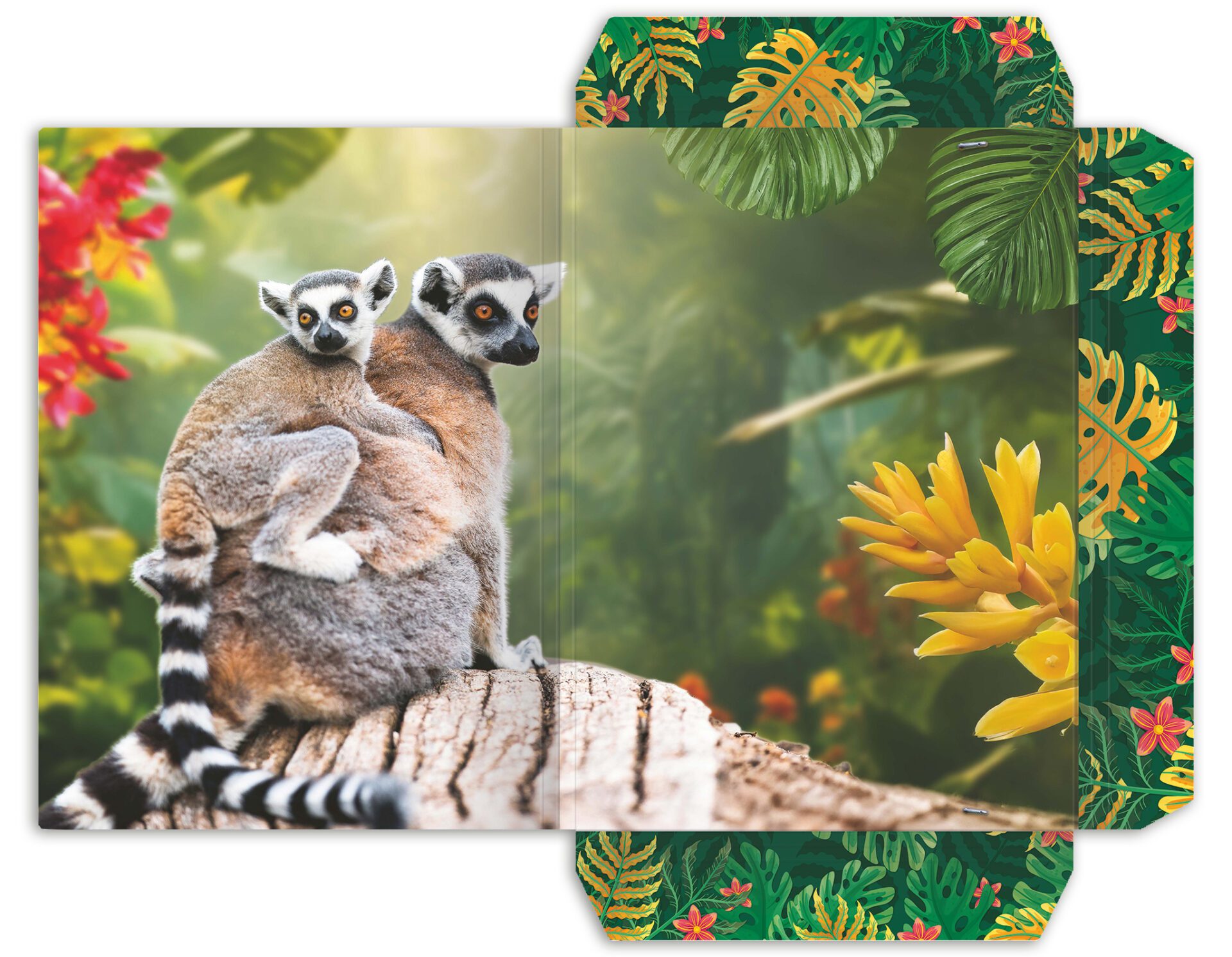 rnk-lemur-zeichenmappe-din-a3-karton-mit-gummizug image 2